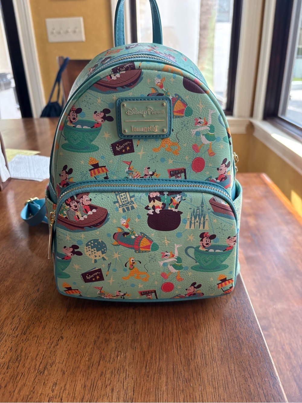 Disney Loungefly Bag